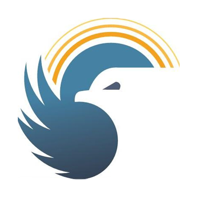wings like eagles logo